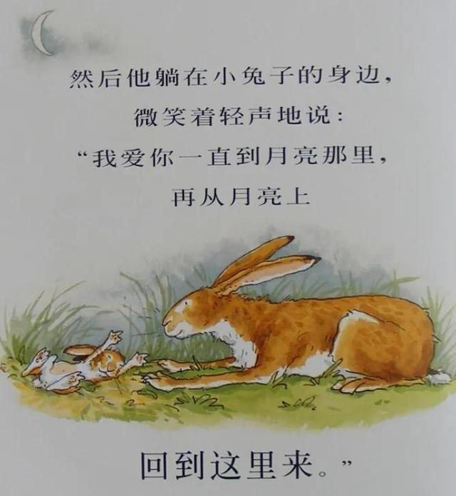 看图写话小白兔过河怎么写，长颈鹿和大象帮助小兔子过河